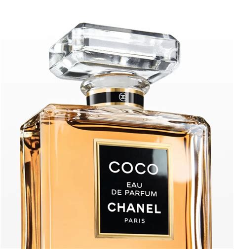 coco chanel logo perfume